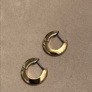 Jenny Bird Gold tone Hoop Earrings
